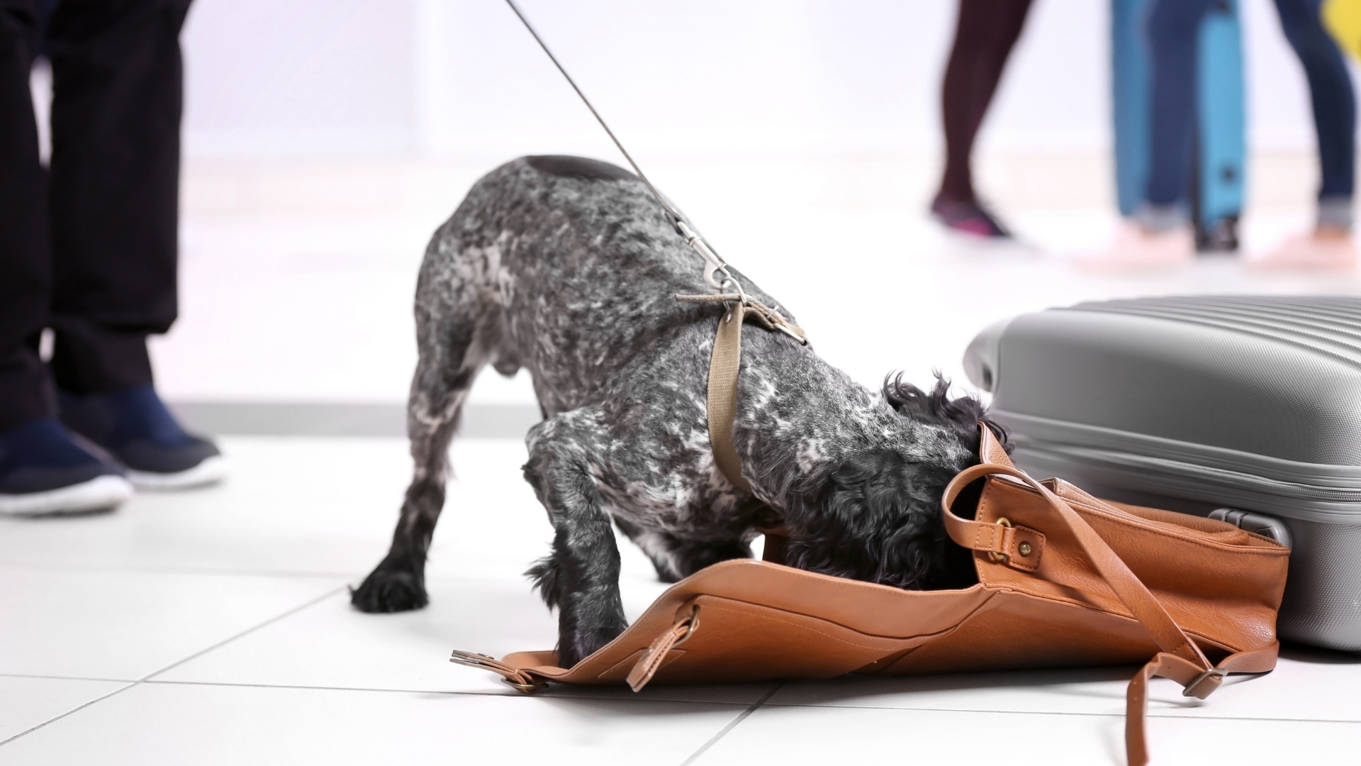 Uçaktaki Yasaklılar: El Bagajınızda Bulunmaması Gereken 10 Madde!